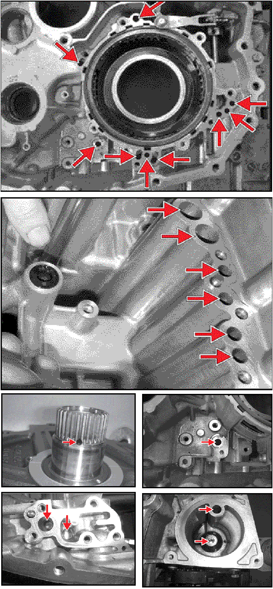 520065657_graphic-text231